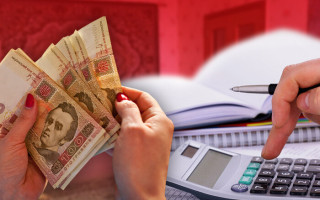 Одна помилка у декларації може позбавити субсидії: що відомо