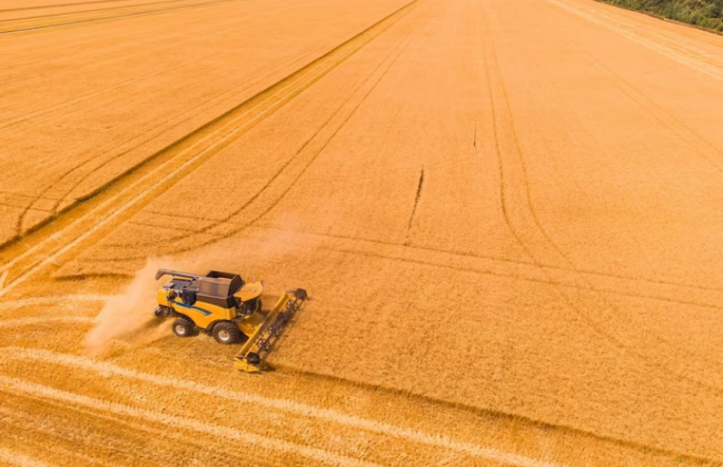 Передбачено можливість визначення шкоди та збитків, завданих особистим селянським господарствам внаслідок збройної агресії рф
