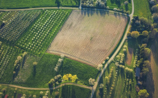 Держгеокадастр у суді скасовуватиме договори купівлі продажу земель державних земель: на яких підставах