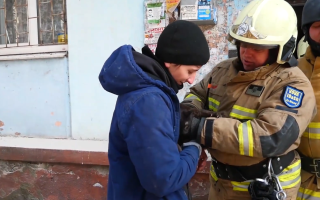 Три доби перебувала у напівзруйнованій квартирі: у Запоріжжя врятували кошеня, відео