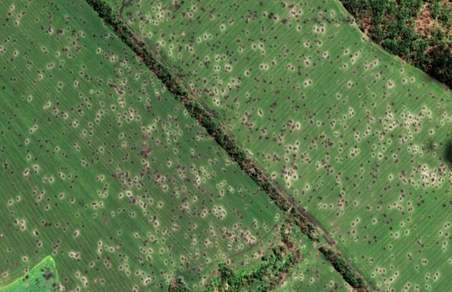 Вторгнення рф завдало збитків екології України на 3 трлн гривень