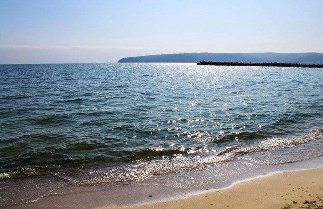 В ООН погодили угоду про захист відкритого моря після 15 років дискусій: що відомо