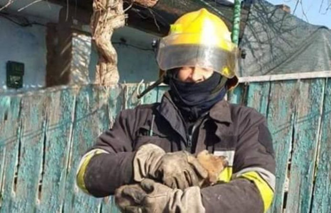 На Одещині рятувальники визволили з пастки цуценя, фото