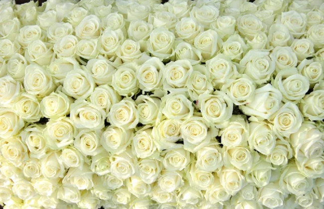 Вартість космічна: у Києві продають букет квітів за ціною квартири