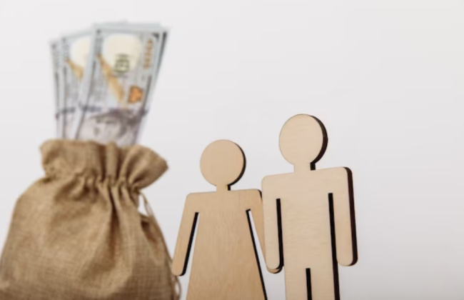 Надміру виплачена субсидія: у якому випадку вона повертається державі та в яких розмірах