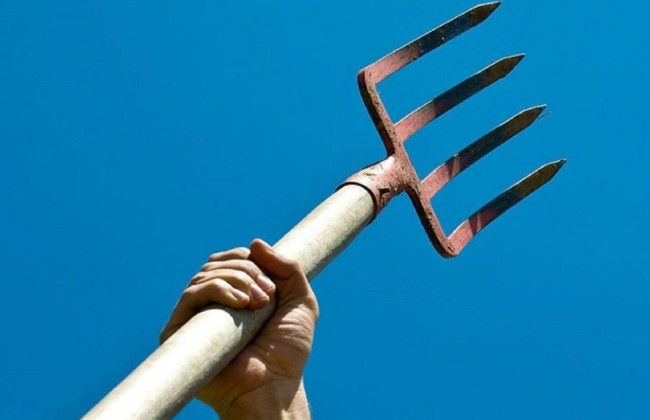 Розбив вилами скло авто та наніс поліцейському рани, від яких той помер: ВС змінив міру покарання