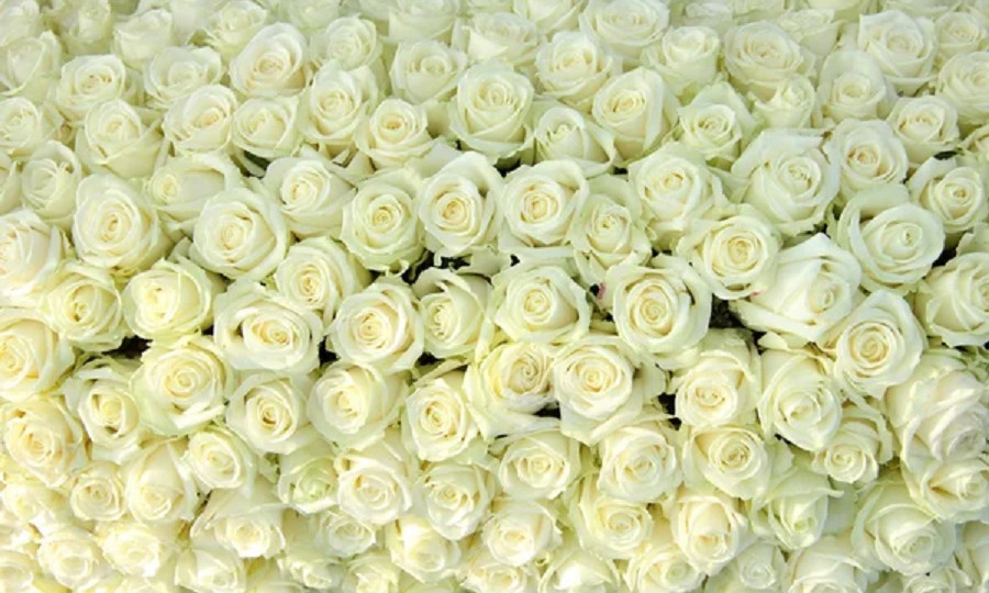 Вартість космічна: у Києві продають букет квітів за ціною квартири