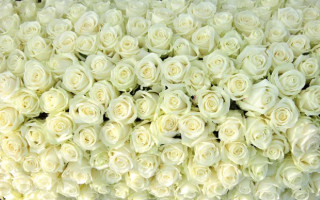 Стоимость космическая: в Киеве продают букет цветов по цене квартиры