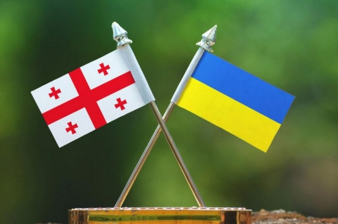 МЗС України висловило солідарність з грузинським народом в його прагненні стати частиною ЄС