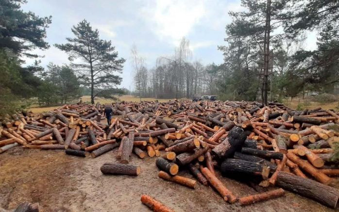 Прокурор потребовал снести недвижимость, построенную на земле из лесного фонда: БП Верховного Суда объяснила, что нужно учесть судам, рассматривая такие требования