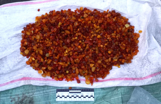 На блокпосте на Ровенщине в пикапе обнаружили янтарь: по ориентировочным ценам «черного» рынка его стоимость составляет $3000