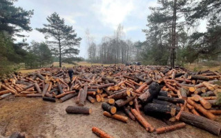 Прокурор вимагав знести нерухомість, збудовану на землі з лісового фонду: ВП Верховного Суду пояснила, що треба врахувати судам, розглядаючи такі вимоги