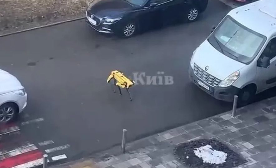Гулял по городу: в Киеве заметили робота-собаку от Boston Dynamics, видео