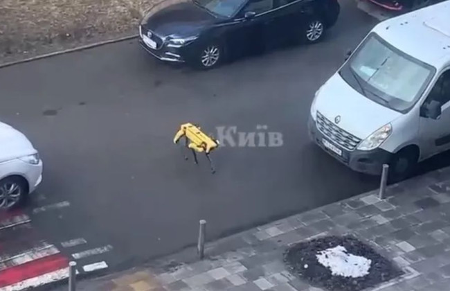 Гулял по городу: в Киеве заметили робота-собаку от Boston Dynamics, видео