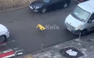 Гуляв містом: у Києві помітили робота-собаку від Boston Dynamics, відео