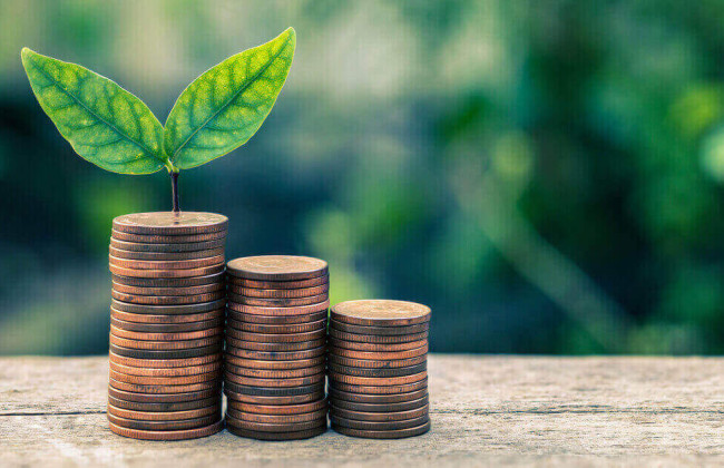 Чи є платниками екологічного податку філії