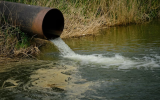 В сточных водах на Днепропетровщине обнаружили новый вариант штамма COVID-19