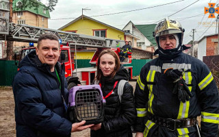 Трое суток просидел на высоте 11 метров: как на Киевщине спасали кота, видео