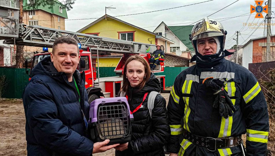 Трое суток просидел на высоте 11 метров: как на Киевщине спасали кота, видео