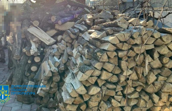 Незаконно вирубали понад 200 дерев: на Дніпропетровщині викрили злочинну групу