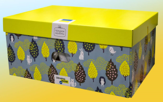 «Пакунок малюка»: у поточному році 33,5 тисяч родин із 40,5 тисяч обрали саме грошову виплату