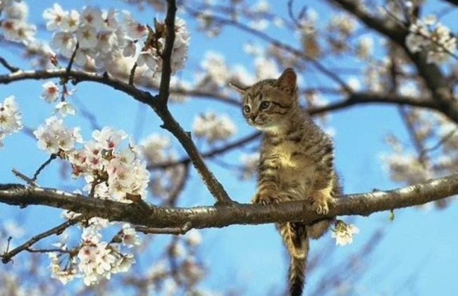 Прогноз погоди на вихідні: на українців чекає потепління