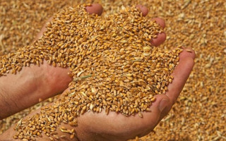 Кубраков сообщил, на какой срок продлили зерновую сделку