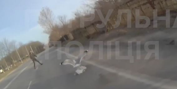 Под Киевом спасли птицу, которая бегала по дороге, видео