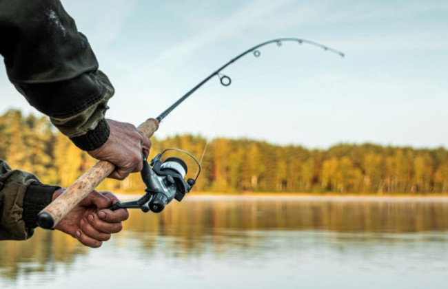 В Украине введут рыболовный билет: что это значит