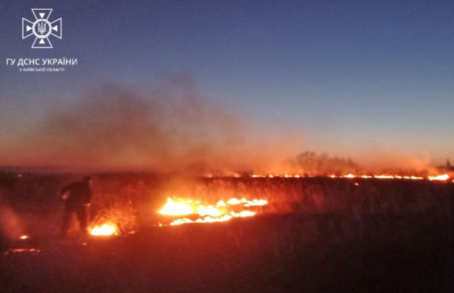 Спасатели предупредили граждан о запрете сжигания травяного настила