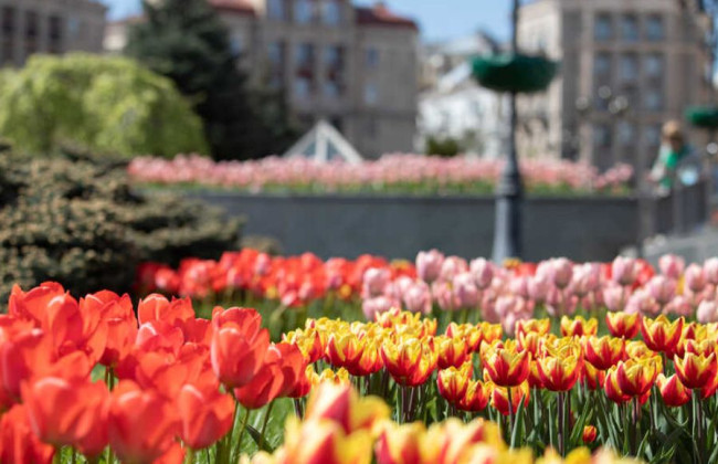 В Україну йде спека: 24 березня очікується до +20