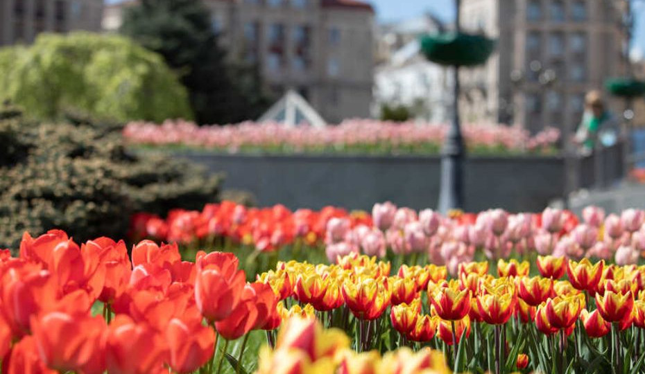 В Україну йде спека: 24 березня очікується до +20