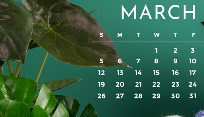 23 марта: какой сегодня праздник и главные события