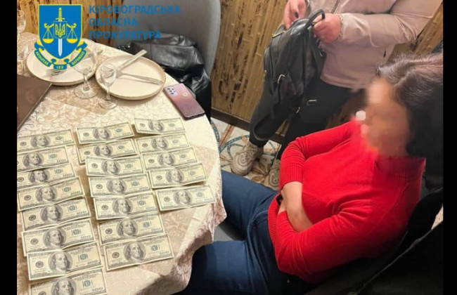 Вимагала хабаря за оренду земельної ділянки: на Кіровоградщині викрили депутатку районної ради