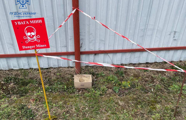 На Львовщине во время сортировки картофеля нашли гранату