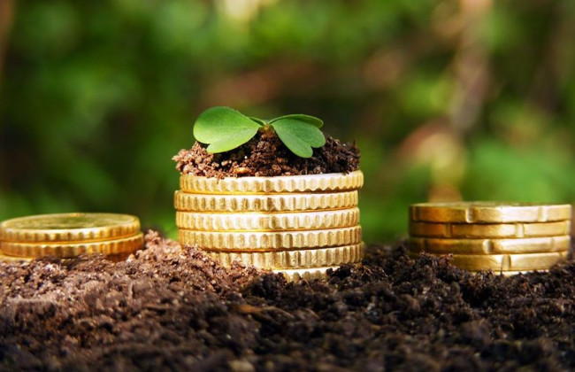 Как физлицу подать заявление на льготы по плате за землю