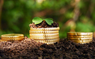 Як фізособі подати заяву на пільги з плати за землю