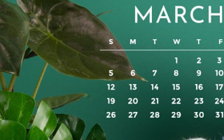 27 березня: яке сьогодні свято та головні події