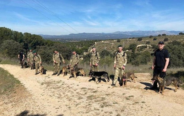 В Испании прошли первые занятия украинских кинологов, фото