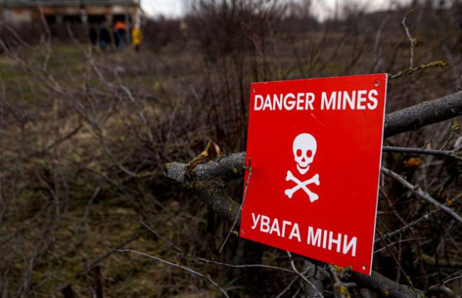 В Украине хотят создать госорган, который будет координировать гуманитарное разминирование