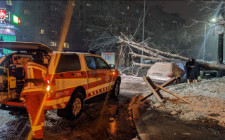 До Києва повернулася зима: через негоду падали дерева, фото
