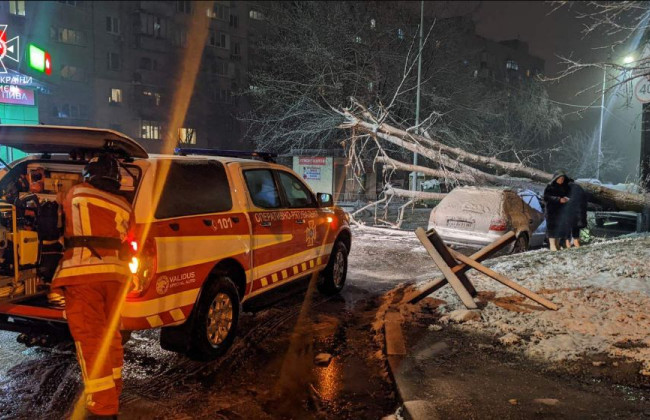 В Киев вернулась зима: из-за непогоды падали деревья, фото
