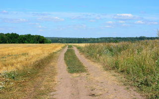 На Харківщині на ворожій міні підірвався автомобіль – є загиблі