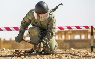 В Україні створять Центр з організації гуманітарного розмінування