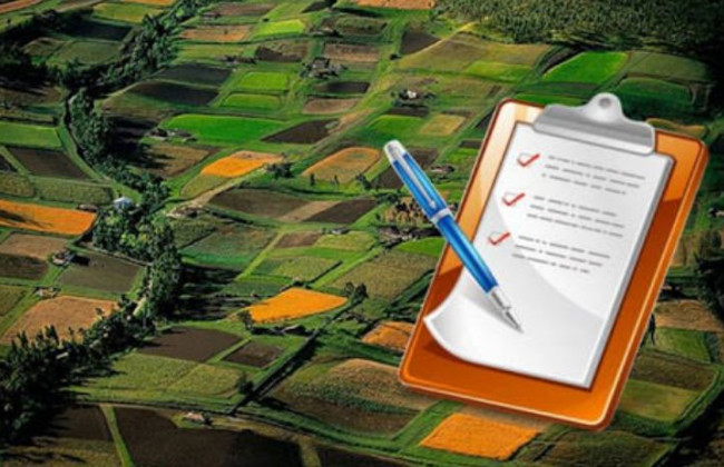 У Чернівецькій області нотаріус привласнила будинок і земельну ділянку