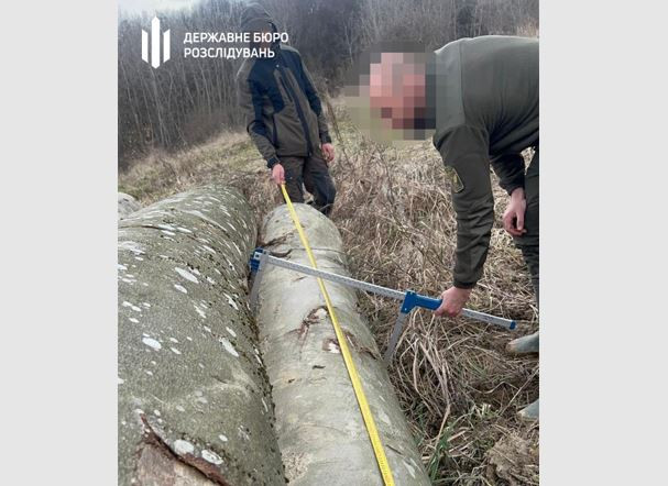На Закарпатье сообщили о подозрении двум работникам лесничеств, которые допустили рубки на миллионы гривен