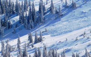 Украинцев предупредили об опасности схождения лавин в Карпатах