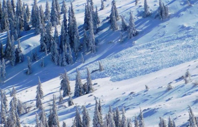 Українців попередили про небезпеку сходження лавин в Карпатах