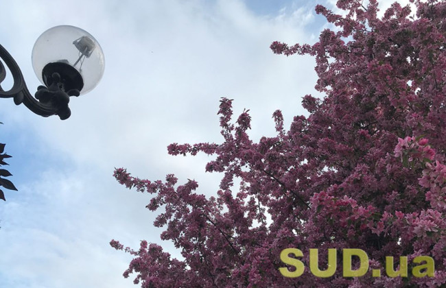 До +25 градусів: в Україну увірветься весняна спека