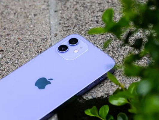 Подменяли айфоны на куски пластилина: во Львовской области будут судить работника почты и его знакомого